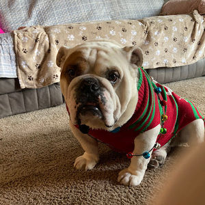 Meet your Posher, Tracy